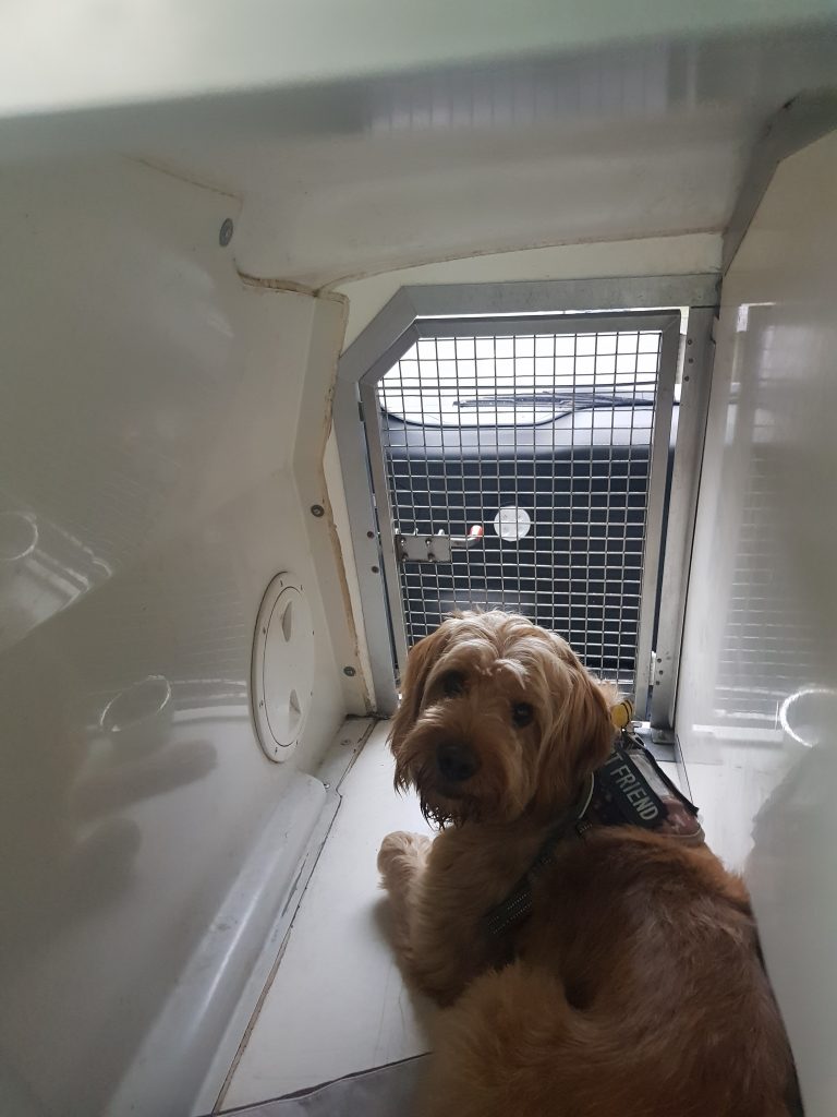 AMC Pet Transport company London UK to Europe. MAX 1