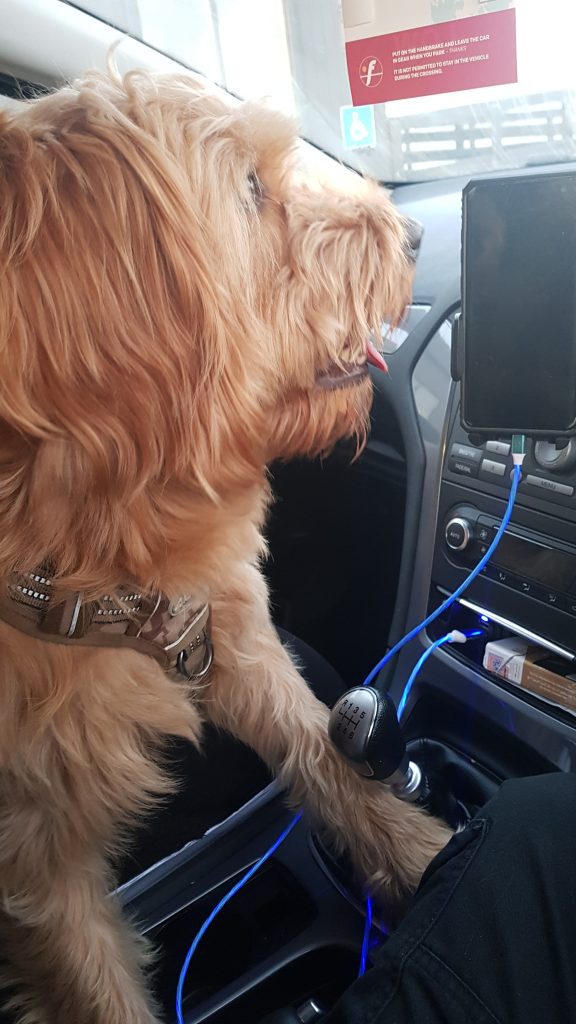 AMC Pet Transport London UK to Europe. MAX 6