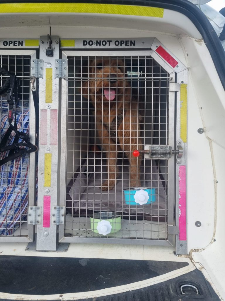 AMC Pet Transport London UK to Europe. MAX 7